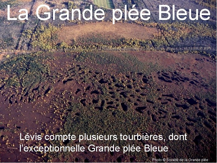 La Grande plée Bleue Lévis compte plusieurs tourbières, dont l’exceptionnelle Grande plée Bleue Photo