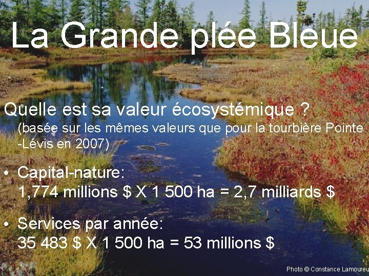 La Grande plée Bleue Quelle est sa valeur écosystémique ? (basée sur les mêmes