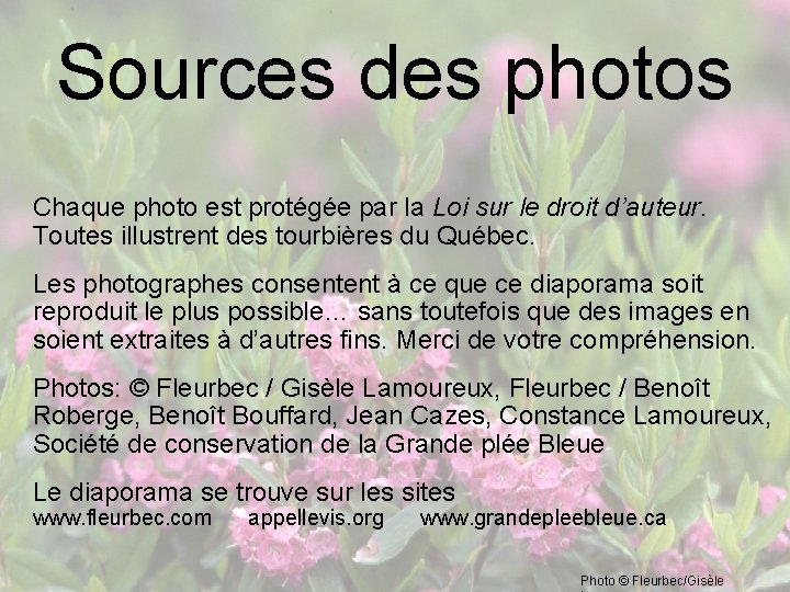 Sources des photos Chaque photo est protégée par la Loi sur le droit d’auteur.