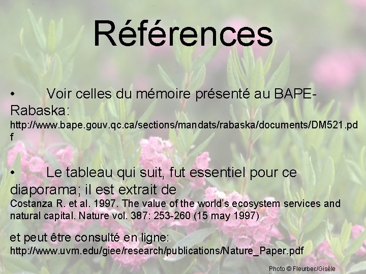 Références • Voir celles du mémoire présenté au BAPERabaska: http: //www. bape. gouv. qc.