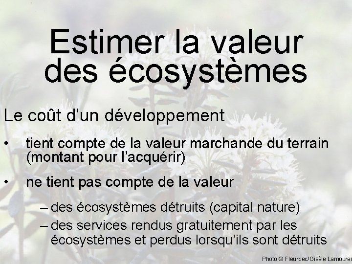 Estimer la valeur des écosystèmes Le coût d’un développement • tient compte de la
