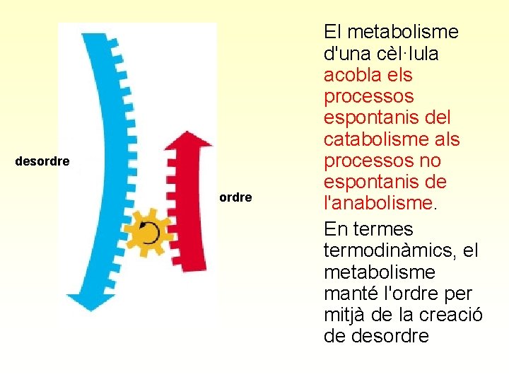 desordre El metabolisme d'una cèl·lula acobla els processos espontanis del catabolisme als processos no