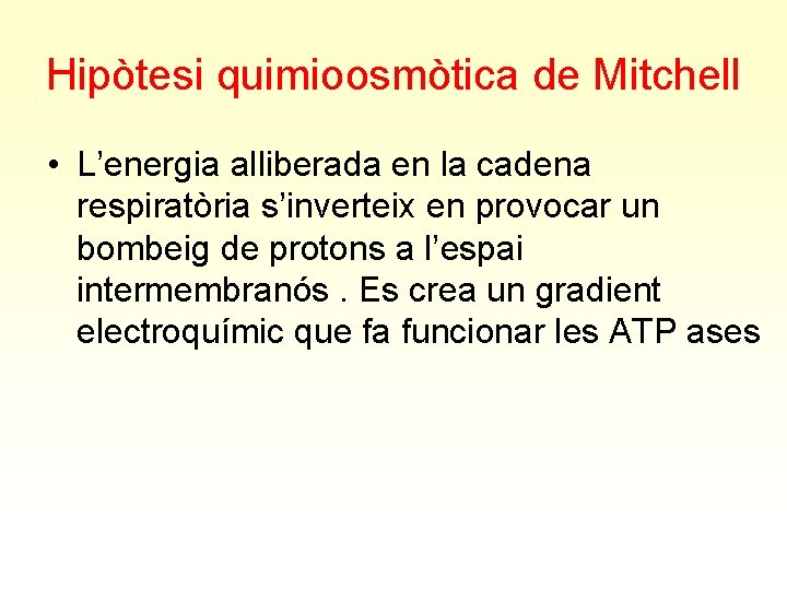 Hipòtesi quimioosmòtica de Mitchell • L’energia alliberada en la cadena respiratòria s’inverteix en provocar