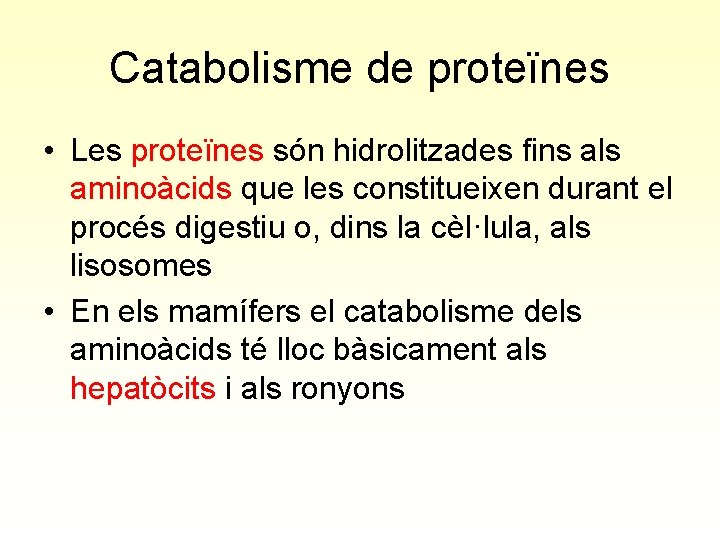Catabolisme de proteïnes • Les proteïnes són hidrolitzades fins als aminoàcids que les constitueixen