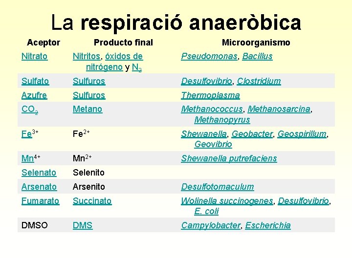 La respiració anaeròbica Aceptor Producto final Microorganismo Nitrato Nitritos, óxidos de nitrógeno y N