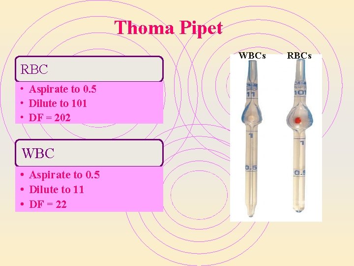 Thoma Pipet WBCs RBC • Aspirate to 0. 5 • Dilute to 101 • Thoma Pipet WBCs RBC • Aspirate to 0. 5 • Dilute to 101 •