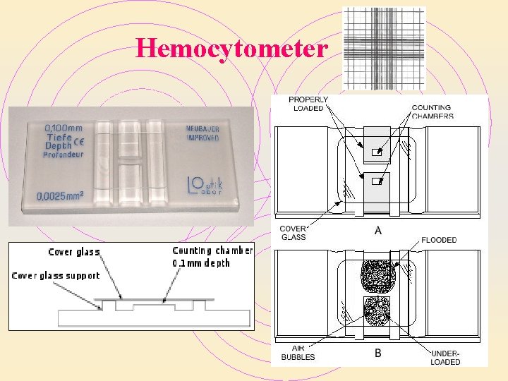 Hemocytometer Hemocytometer