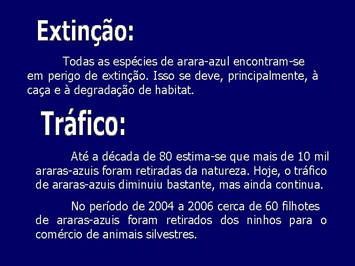 Todas as espécies de arara-azul encontram-se em perigo de extinção. Isso se deve, principalmente,