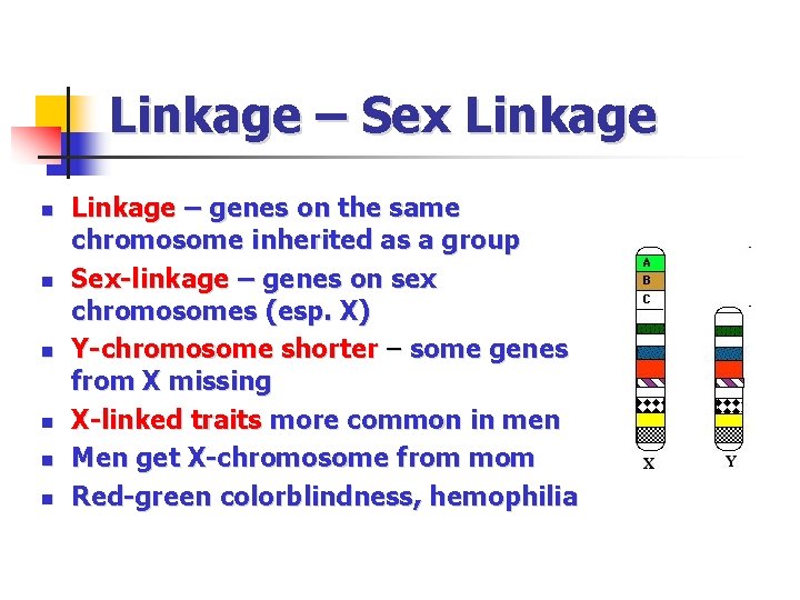 Linkage – Sex Linkage n n n Linkage – genes on the same chromosome