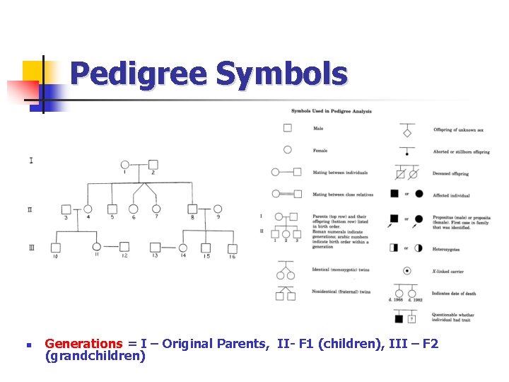 Pedigree Symbols n Generations = I – Original Parents, II- F 1 (children), III