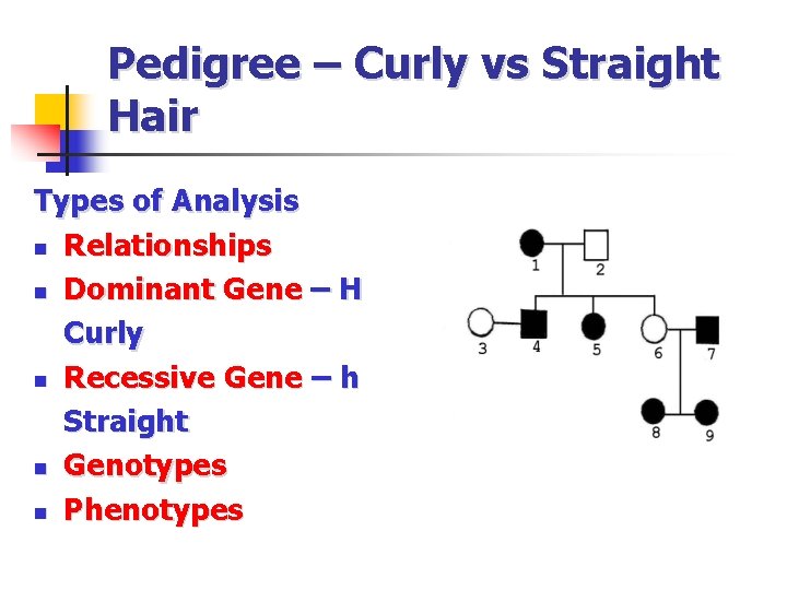 Pedigree – Curly vs Straight Hair Types of Analysis n Relationships n Dominant Gene