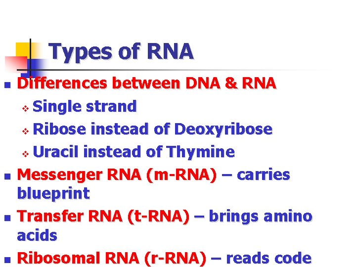 Types of RNA n n Differences between DNA & RNA v Single strand v