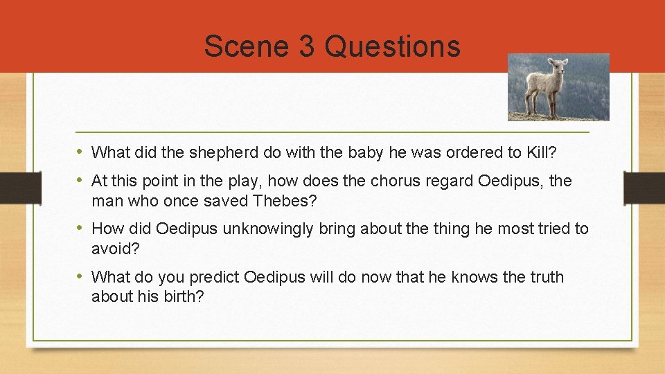 Scene 3 Questions • What did the shepherd do with the baby he was