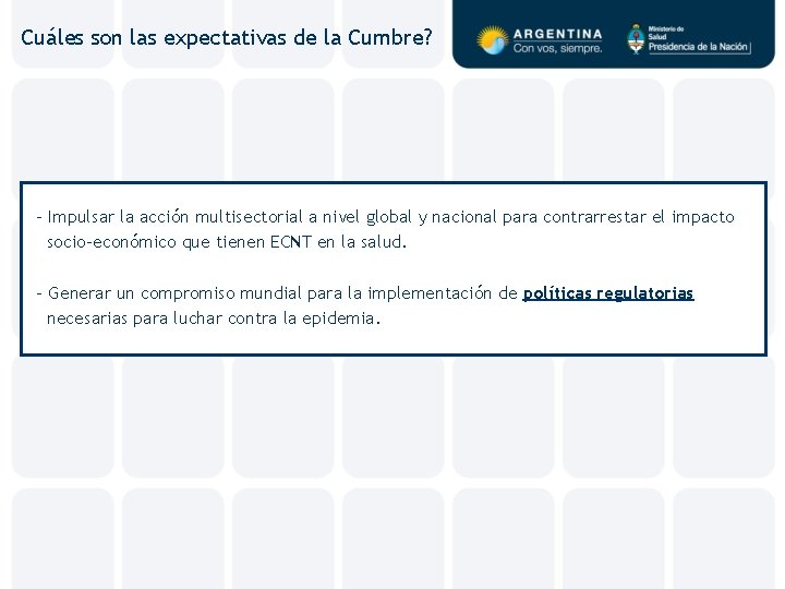 Cuáles son las expectativas de la Cumbre? - Impulsar la acción multisectorial a nivel