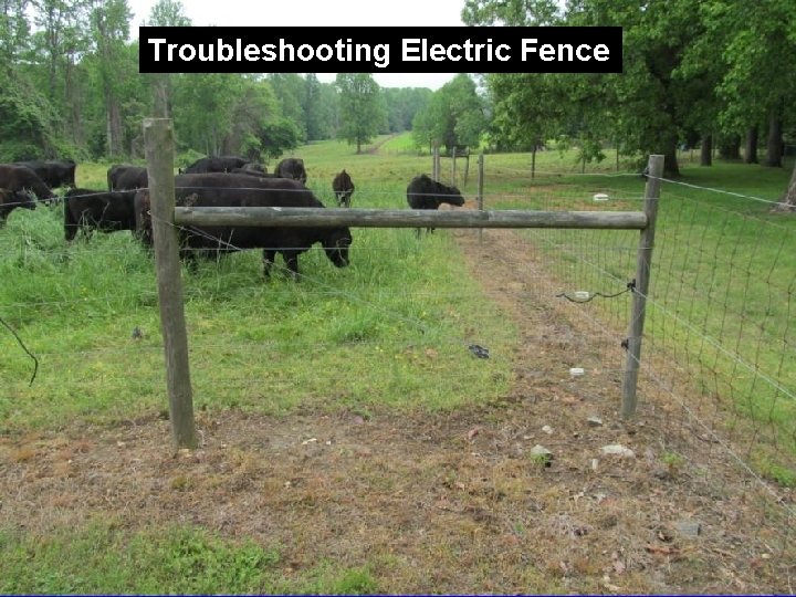 Troubleshooting Electric Fence 