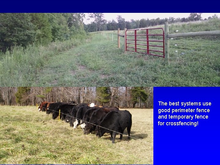 The best systems use good perimeter fence and temporary fence for crossfencing! 