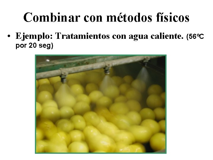 Combinar con métodos físicos • Ejemplo: Tratamientos con agua caliente. (56ºC por 20 seg)