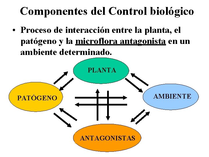 Componentes del Control biológico • Proceso de interacción entre la planta, el patógeno y