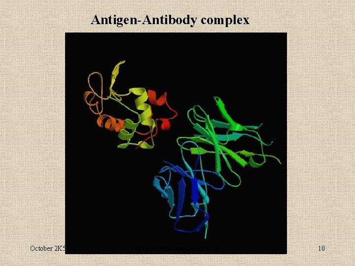 Antigen-Antibody complex October 2 K 5 © Bioinformatics Centre, Uo. P 10 