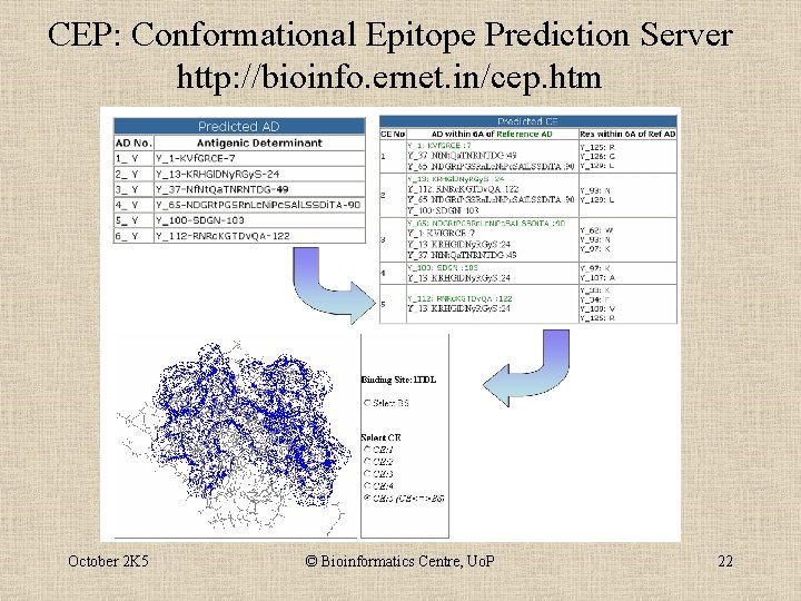 CEP: Conformational Epitope Prediction Server http: //bioinfo. ernet. in/cep. htm October 2 K 5