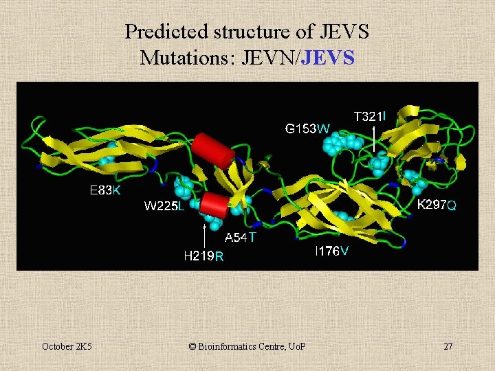 Predicted structure of JEVS Mutations: JEVN/JEVS October 2 K 5 © Bioinformatics Centre, Uo.