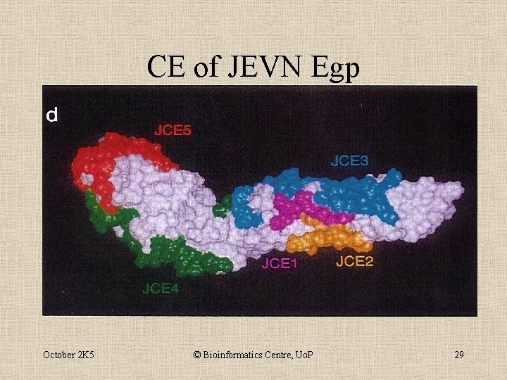 CE of JEVN Egp October 2 K 5 © Bioinformatics Centre, Uo. P 29