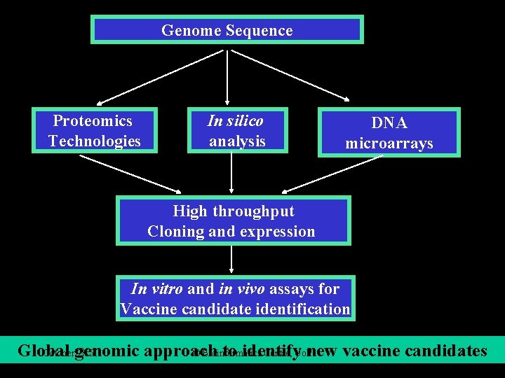 Genome Sequence Proteomics Technologies In silico analysis DNA microarrays High throughput Cloning and expression