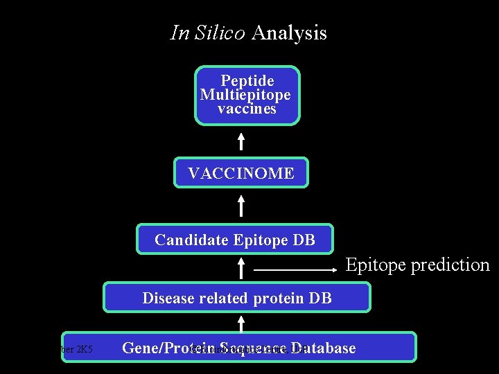 In Silico Analysis Peptide Multiepitope vaccines VACCINOME Candidate Epitope DB Epitope prediction Disease related
