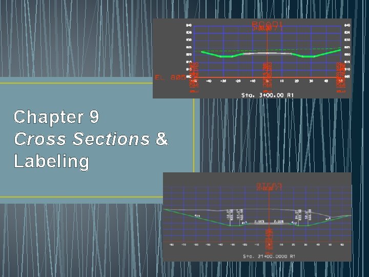 Chapter 9 Cross Sections & Labeling Chapter 9 Cross Sections & Labeling