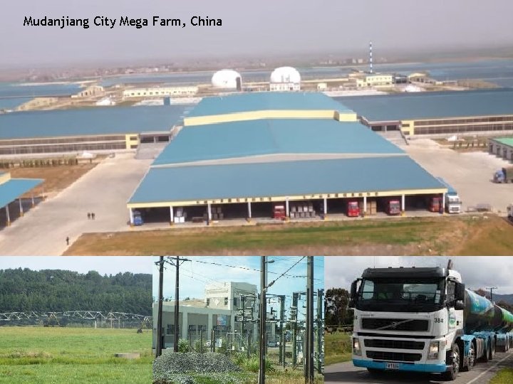 Mudanjiang City Mega Farm, China 