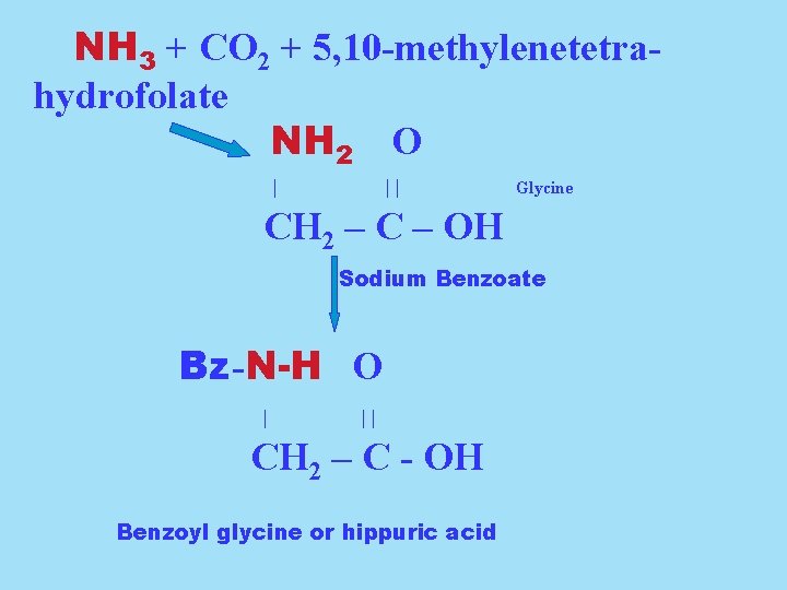 NH 3 + CO 2 + 5, 10 -methylenetetrahydrofolate NH 2 O | ||