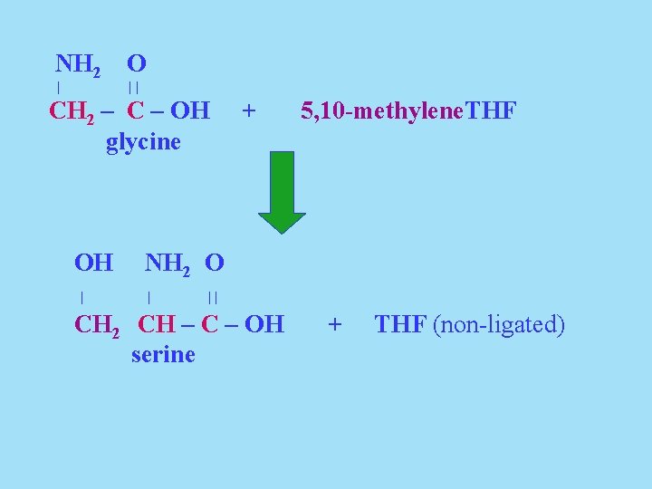 NH 2 O | || CH 2 – C – OH glycine OH |