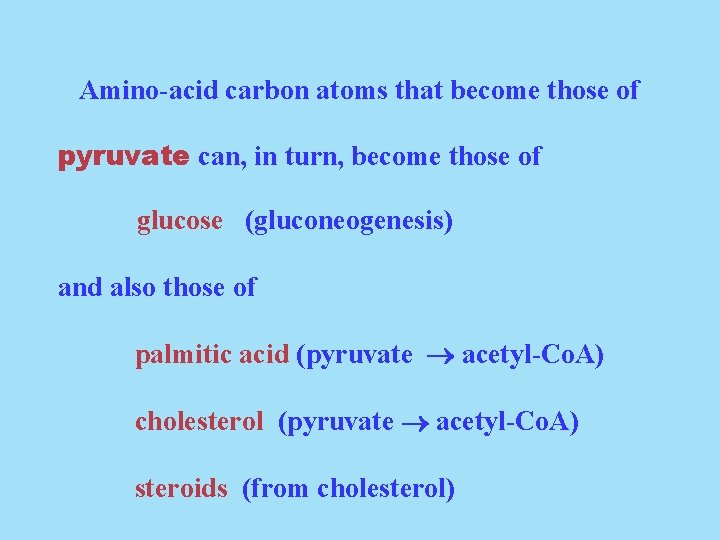 Amino-acid carbon atoms that become those of pyruvate can, in turn, become those of