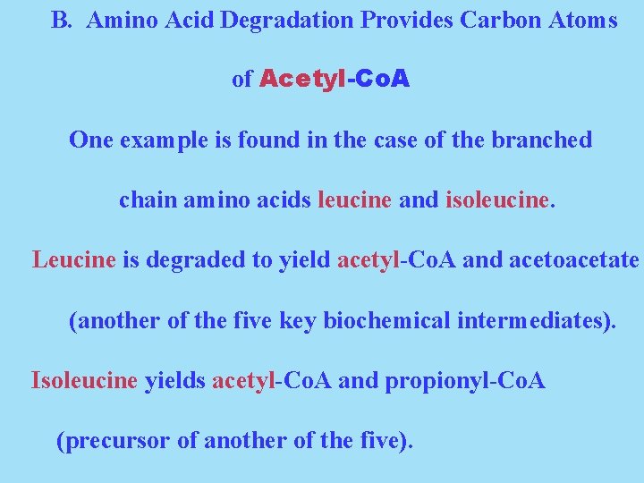 B. Amino Acid Degradation Provides Carbon Atoms of Acetyl-Co. A One example is found