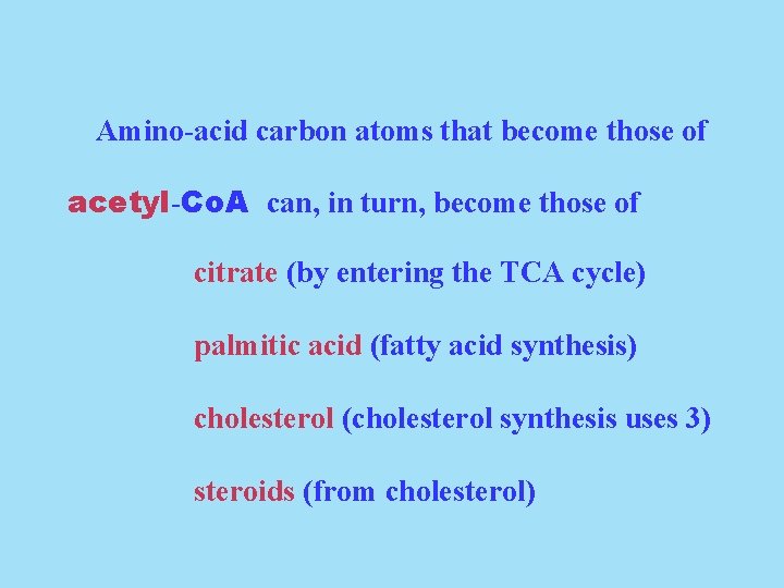 Amino-acid carbon atoms that become those of acetyl-Co. A can, in turn, become those