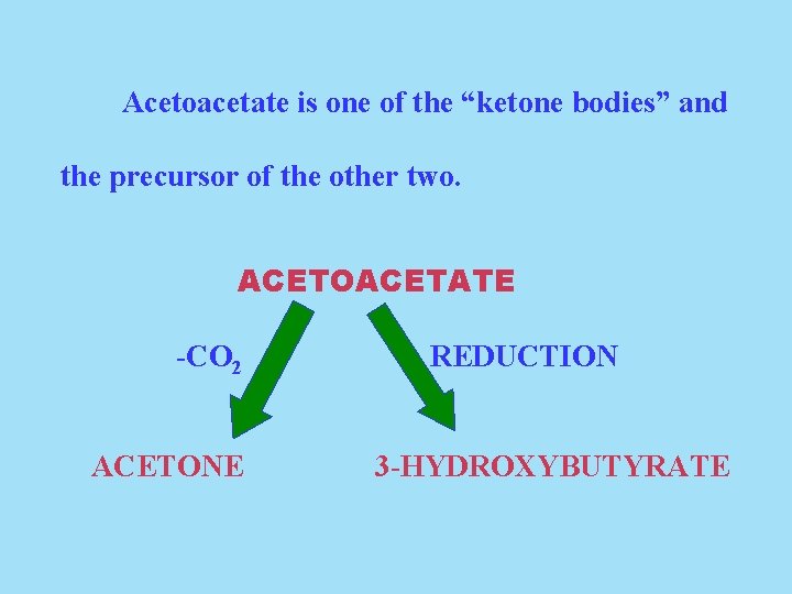 Acetoacetate is one of the “ketone bodies” and the precursor of the other two.