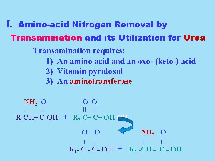 I. Amino-acid Nitrogen Removal by Transamination and its Utilization for Urea Transamination requires: 1)