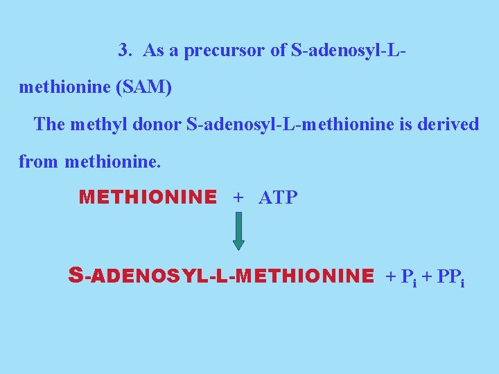 3. As a precursor of S-adenosyl-Lmethionine (SAM) The methyl donor S-adenosyl-L-methionine is derived from