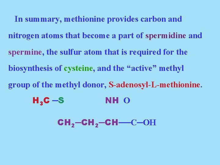In summary, methionine provides carbon and nitrogen atoms that become a part of spermidine