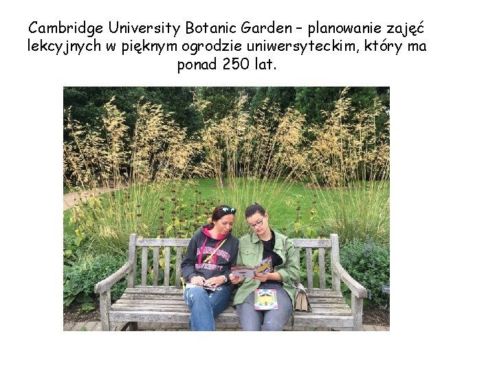 Cambridge University Botanic Garden – planowanie zajęć lekcyjnych w pięknym ogrodzie uniwersyteckim, który ma