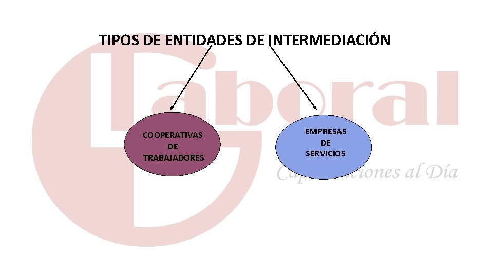 TIPOS DE ENTIDADES DE INTERMEDIACIÓN COOPERATIVAS DE TRABAJADORES EMPRESAS DE SERVICIOS 