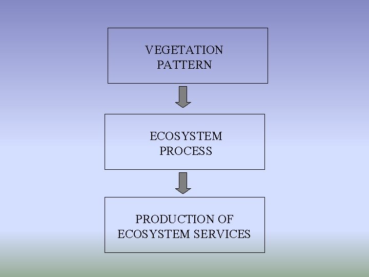 VEGETATION PATTERN ECOSYSTEM PROCESS PRODUCTION OF ECOSYSTEM SERVICES 