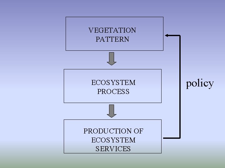 VEGETATION PATTERN ECOSYSTEM PROCESS PRODUCTION OF ECOSYSTEM SERVICES policy 