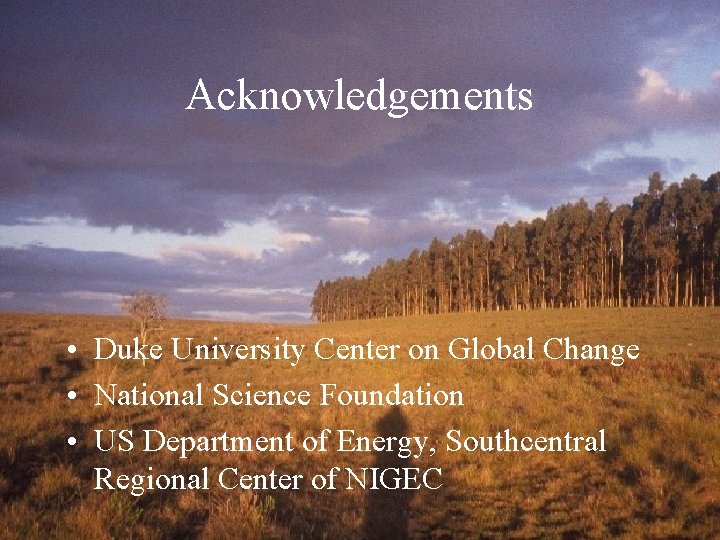 Acknowledgements • Duke University Center on Global Change • National Science Foundation • US