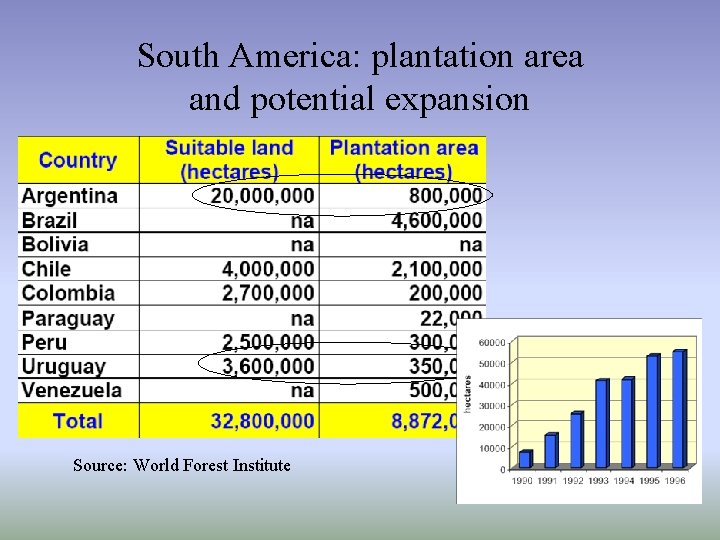South America: plantation area and potential expansion Source: World Forest Institute 
