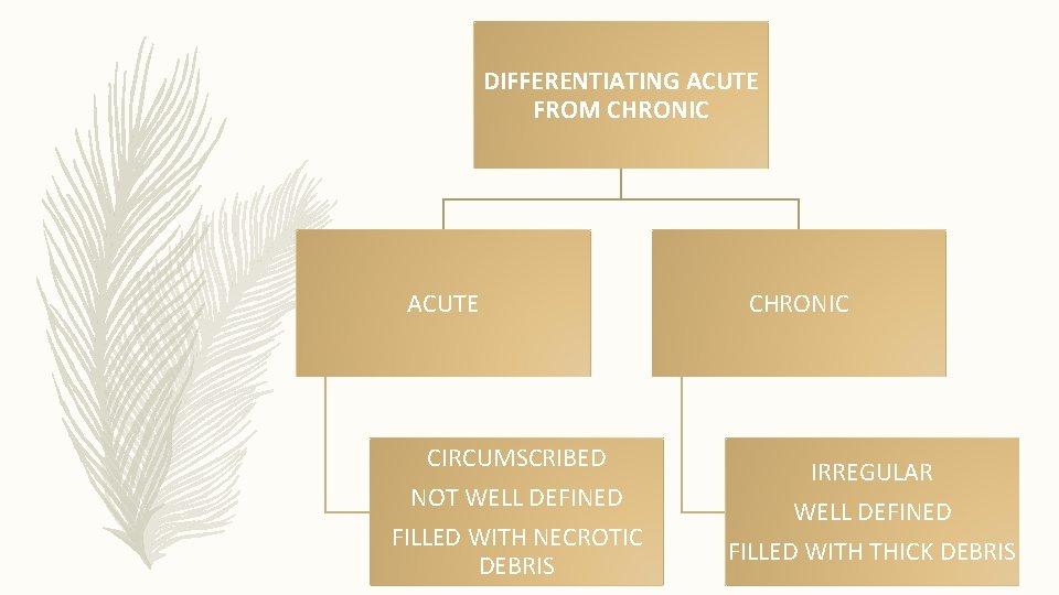 DIFFERENTIATING ACUTE FROM CHRONIC ACUTE CIRCUMSCRIBED NOT WELL DEFINED FILLED WITH NECROTIC DEBRIS CHRONIC