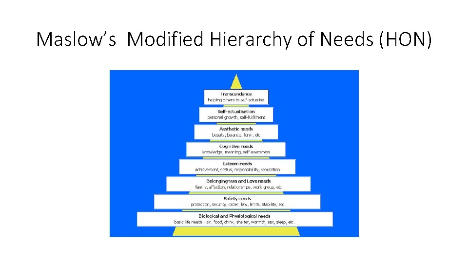 Maslow’s Modified Hierarchy of Needs (HON) 