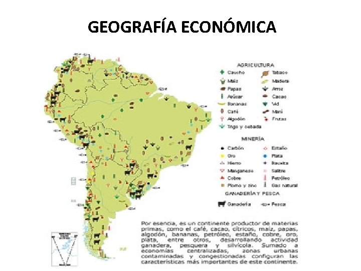 GEOGRAFÍA ECONÓMICA 