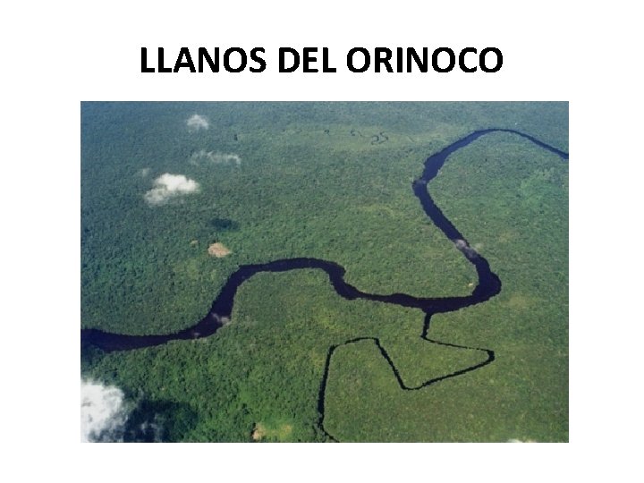 LLANOS DEL ORINOCO 