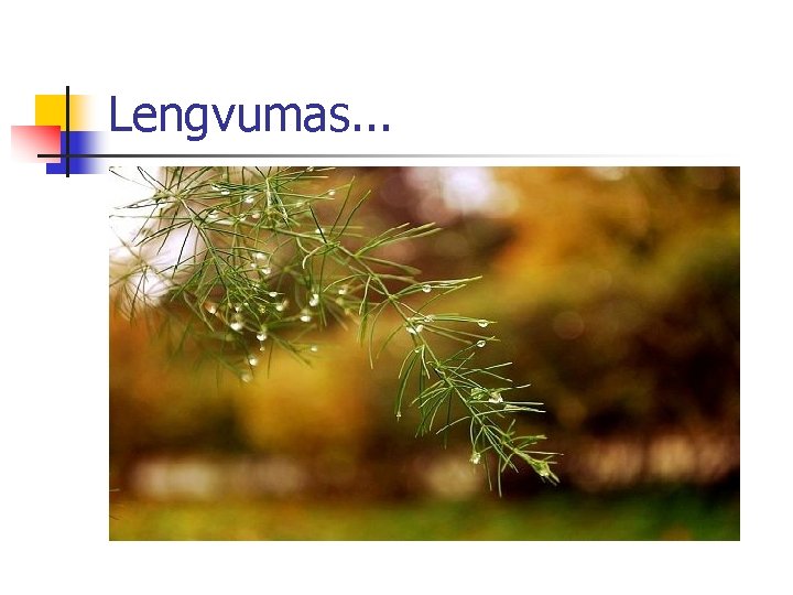 Lengvumas. . . 